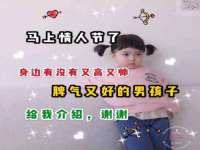 成都隆艺网络科技工作室