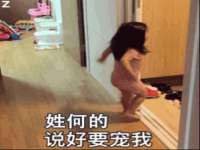成都隆艺网络科技工作室