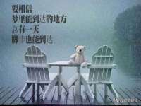 成都隆艺网络科技工作室