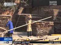 成都隆艺网络科技工作室