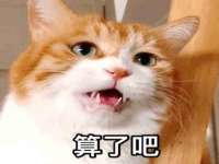 成都隆艺网络科技工作室
