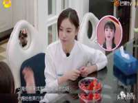 成都隆艺网络科技工作室