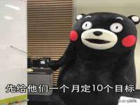 成都隆艺网络科技工作室