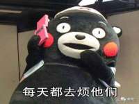 成都隆艺网络科技工作室