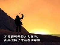 成都隆艺网络科技工作室