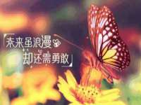 成都隆艺网络科技工作室