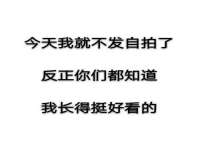 成都隆艺网络科技工作室
