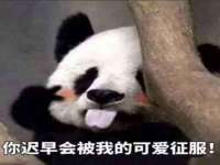 成都隆艺网络科技工作室