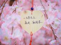 成都隆艺网络科技工作室