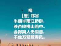 成都隆艺网络科技工作室