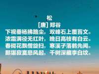 成都隆艺网络科技工作室