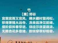 成都隆艺网络科技工作室