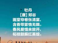 成都隆艺网络科技工作室