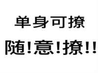 成都隆艺网络科技工作室