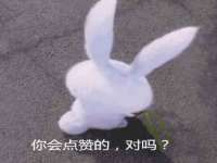 成都隆艺网络科技工作室