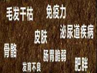 成都隆艺网络科技工作室