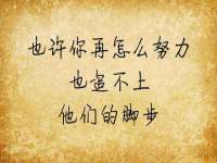 成都隆艺网络科技工作室