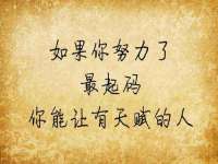 成都隆艺网络科技工作室