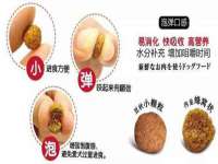 成都隆艺网络科技工作室