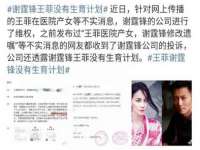 成都隆艺网络科技工作室