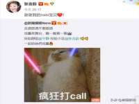 成都隆艺网络科技工作室