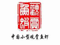 成都隆艺网络科技工作室