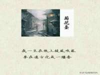 成都隆艺网络科技工作室