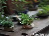 成都隆艺网络科技工作室