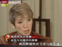 成都隆艺网络科技工作室