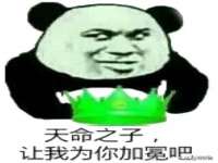 成都隆艺网络科技工作室