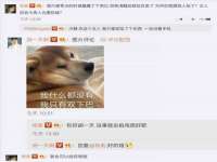 成都隆艺网络科技工作室