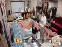 成都隆艺网络科技工作室